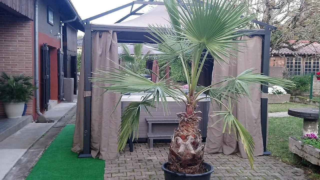 Blue Lagoon Suites&Spas Piscine Montauban 3*,